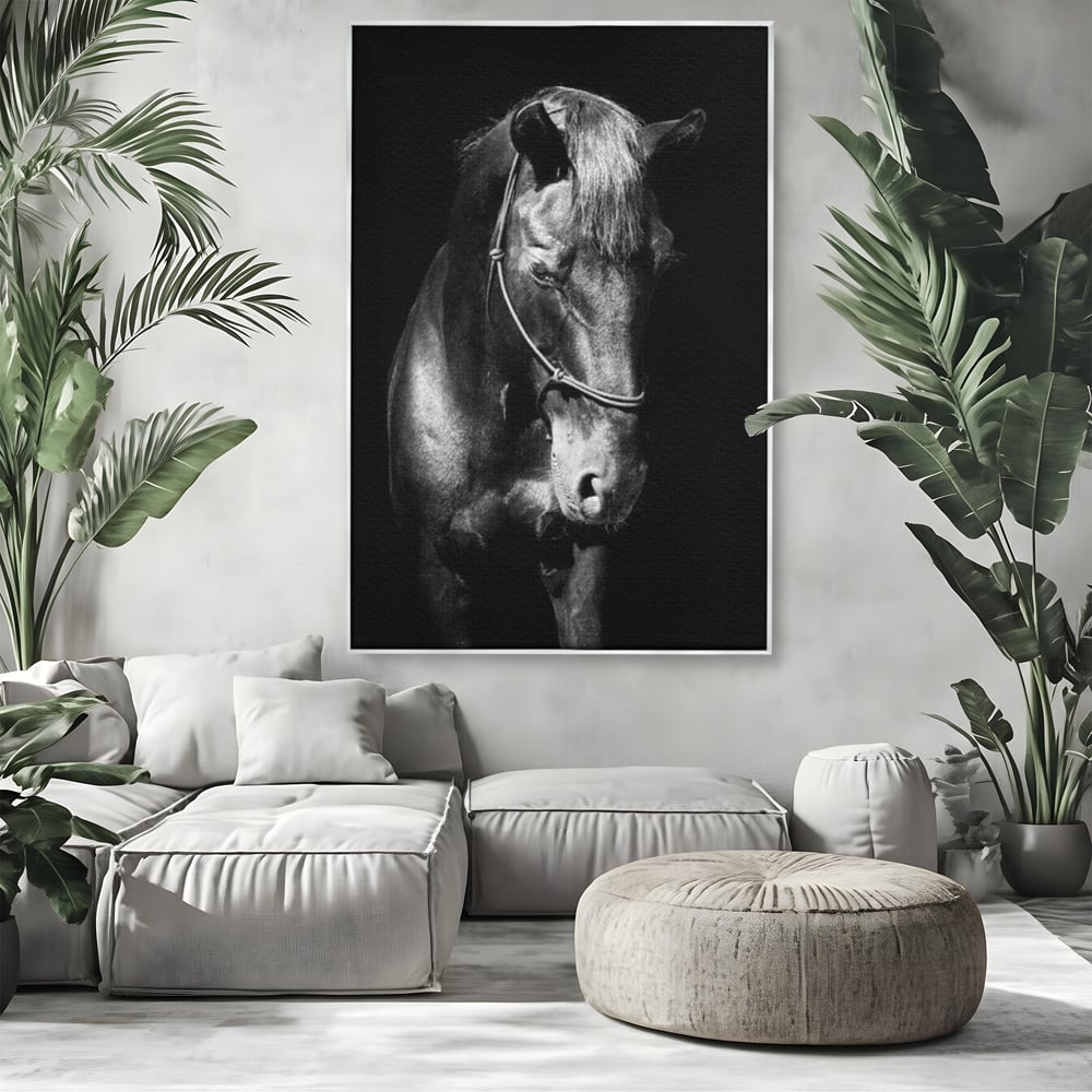 Tablou canvas cu tablou canvas cu un cal negru, in rama de aluminiu argintiu, pe perete intr-un living